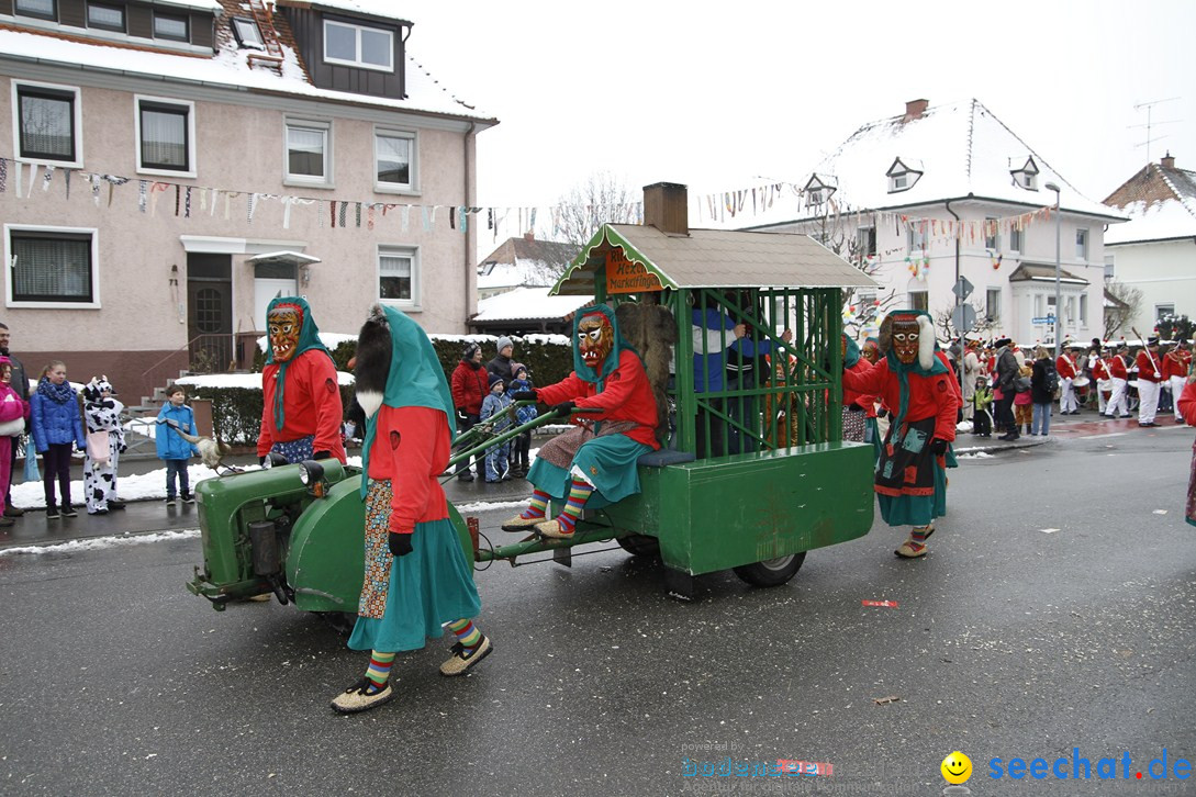 Narrentreffen-Radolfzell-20012013-bodensee-community-seechat-de_215.JPG