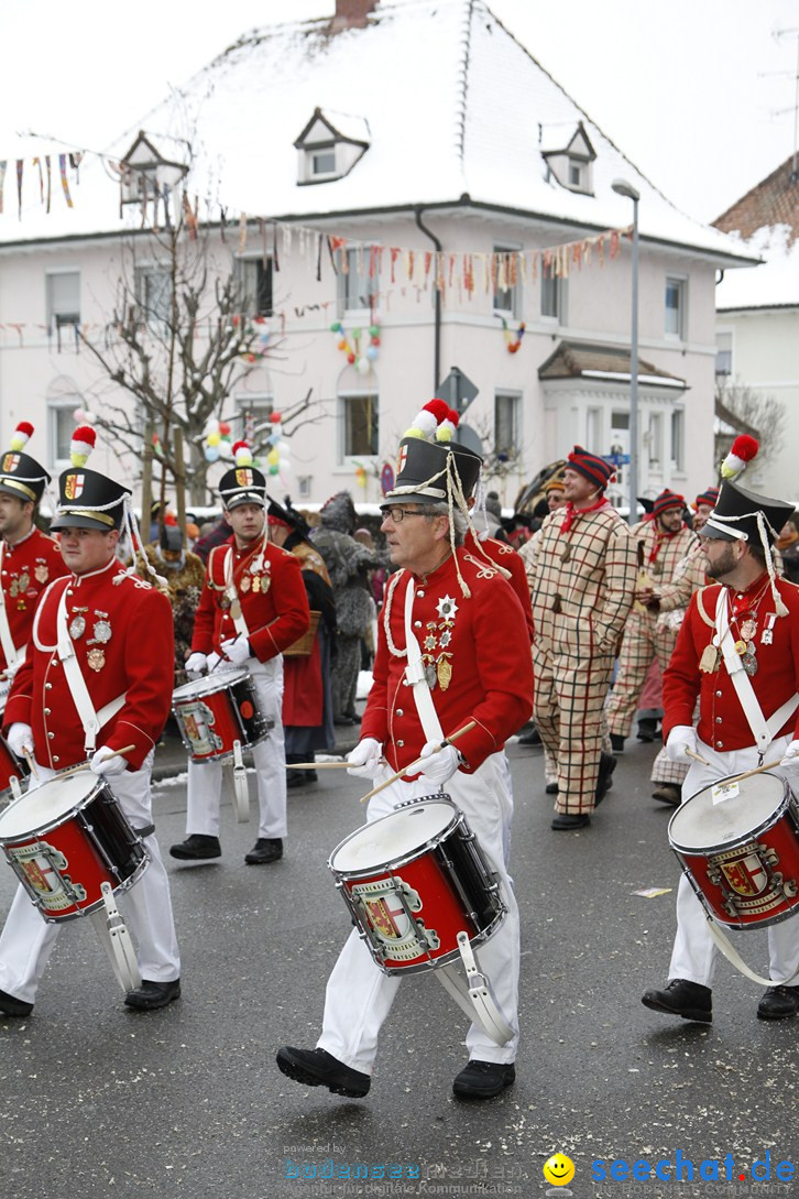 Narrentreffen-Radolfzell-20012013-bodensee-community-seechat-de_218.JPG