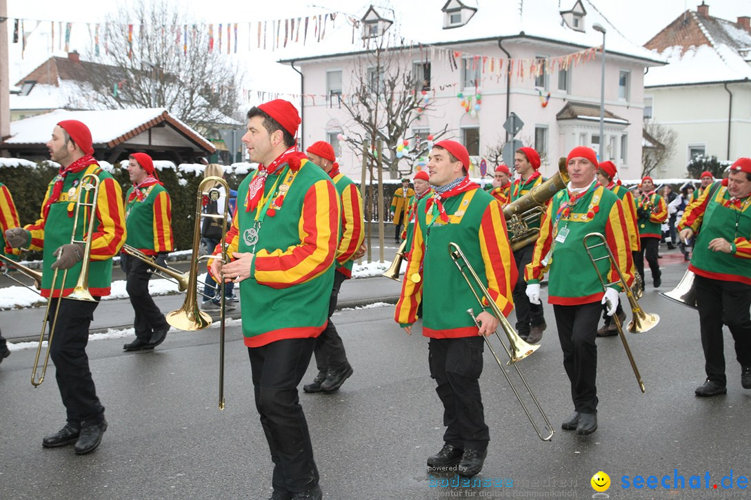 Narrentreffen-Radolfzell-20012013-bodensee-community-seechat-de_219.JPG