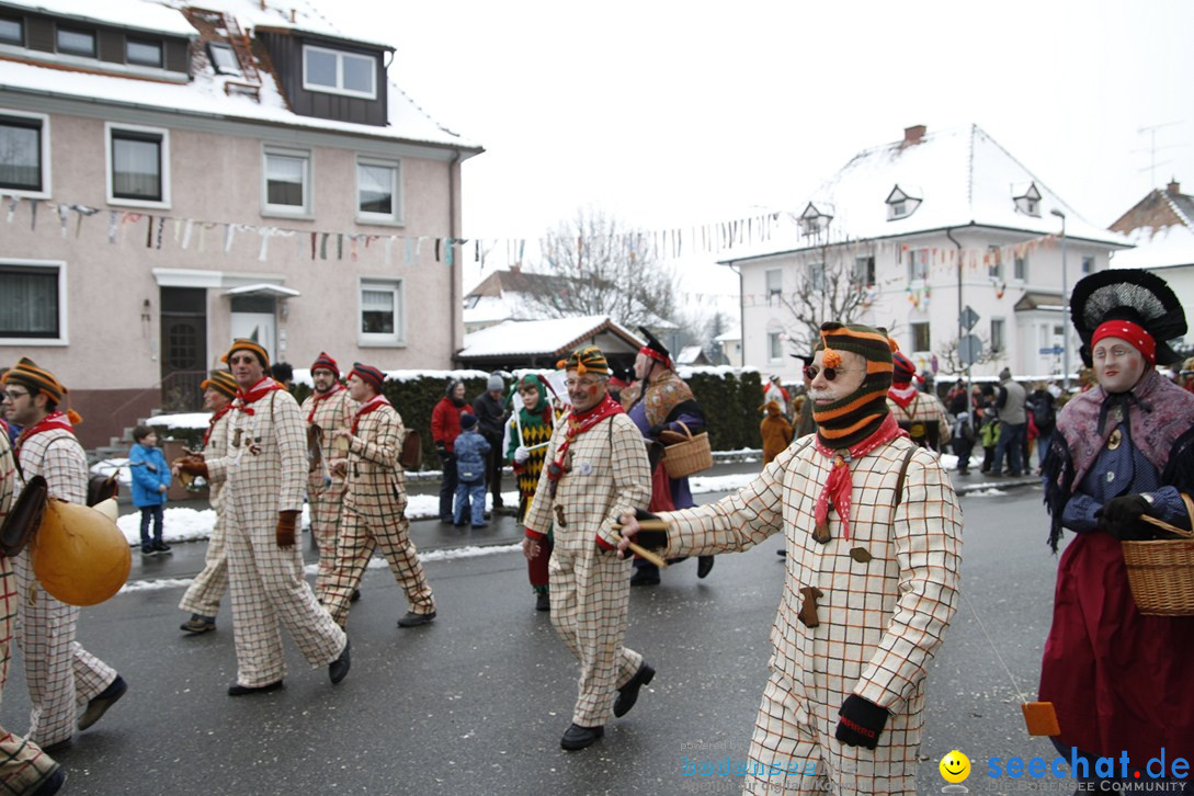 Narrentreffen-Radolfzell-20012013-bodensee-community-seechat-de_22.JPG