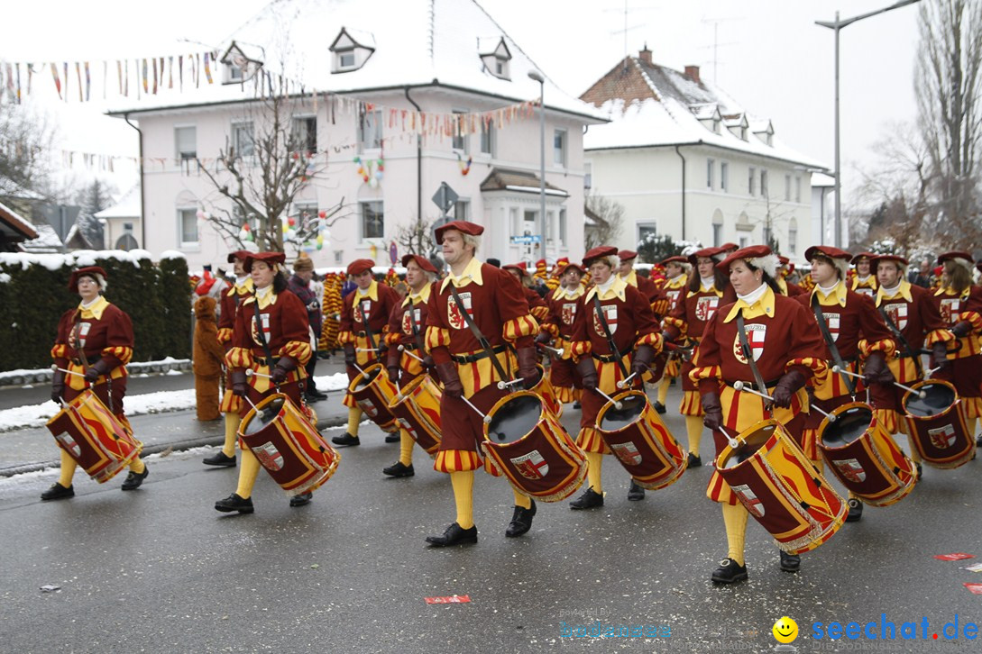 Narrentreffen-Radolfzell-20012013-bodensee-community-seechat-de_222.JPG