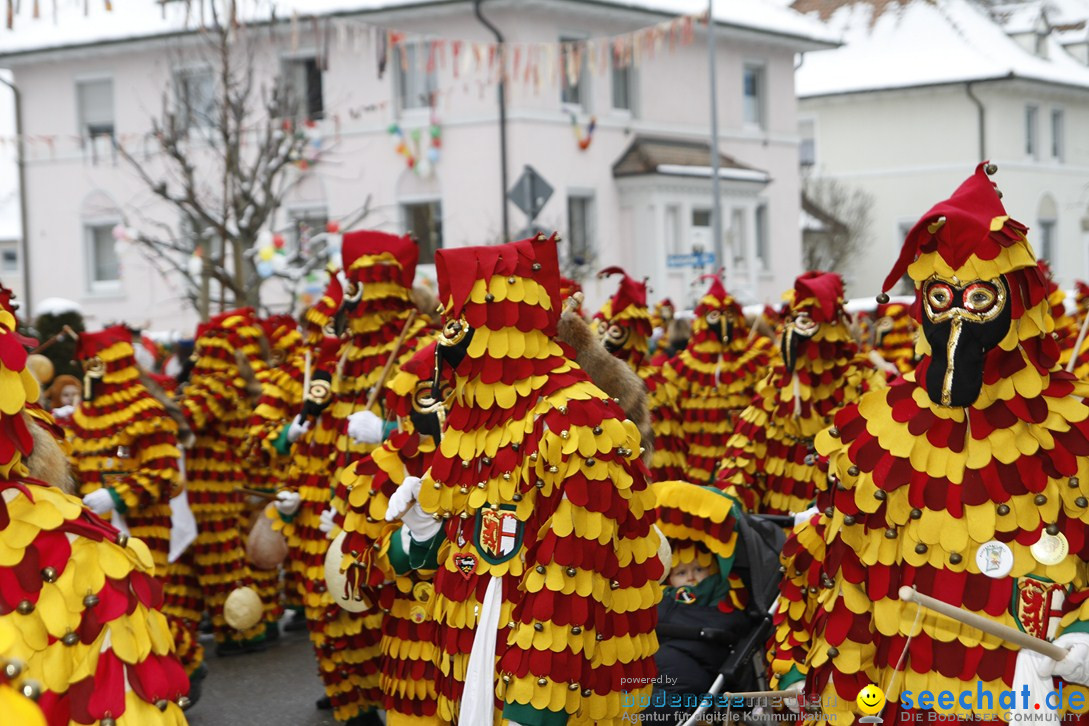 Narrentreffen-Radolfzell-20012013-bodensee-community-seechat-de_224.JPG