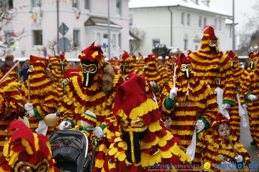 Narrentreffen-Radolfzell-20012013-bodensee-community-seechat-de_225.JPG