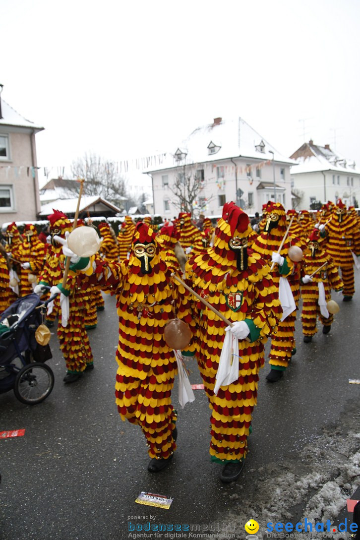 Narrentreffen-Radolfzell-20012013-bodensee-community-seechat-de_226.JPG