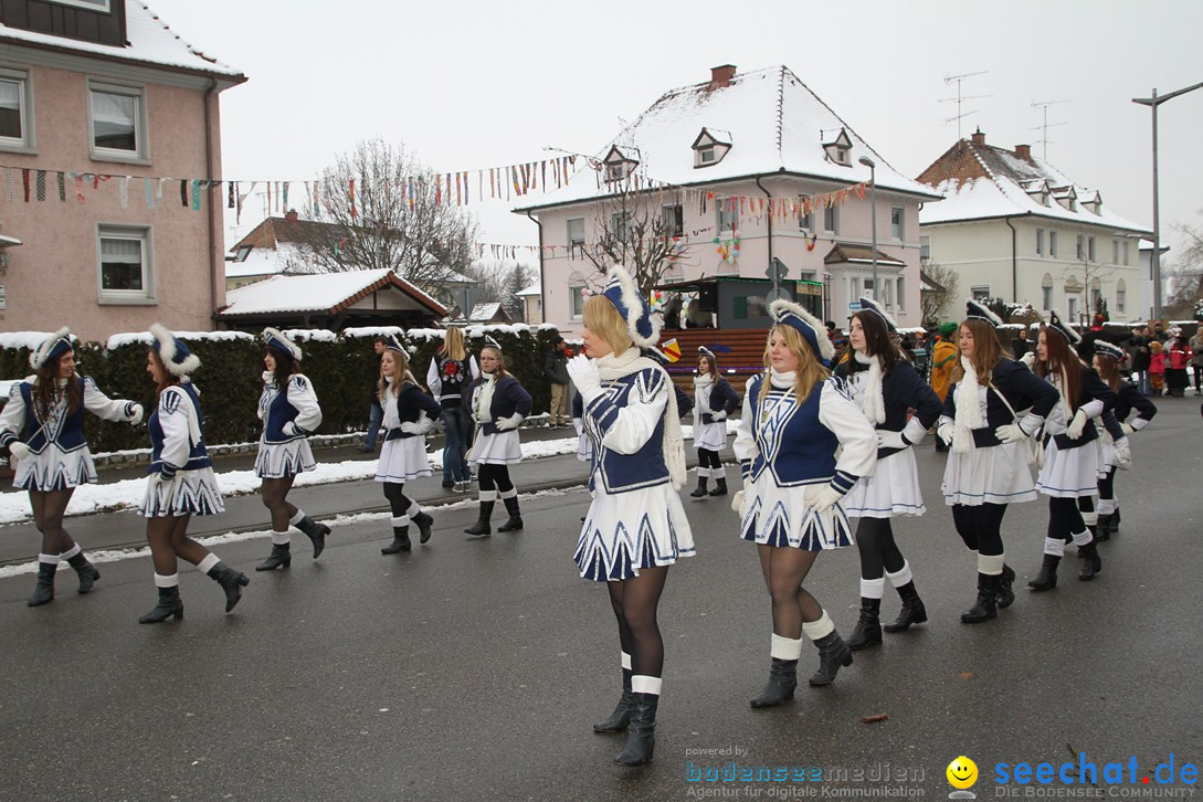 Narrentreffen-Radolfzell-20012013-bodensee-community-seechat-de_229.JPG