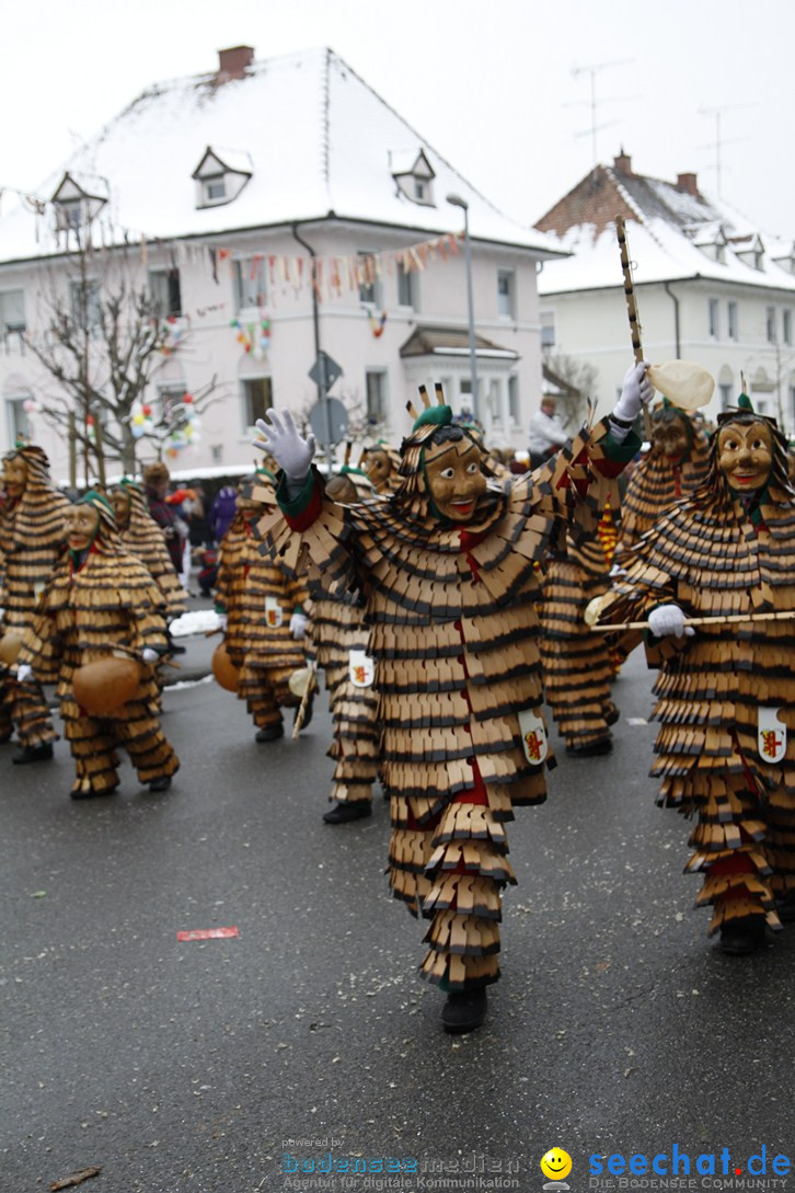 Narrentreffen-Radolfzell-20012013-bodensee-community-seechat-de_230.JPG