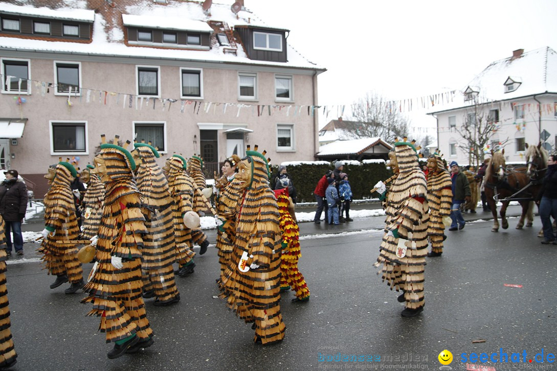 Narrentreffen-Radolfzell-20012013-bodensee-community-seechat-de_231.JPG