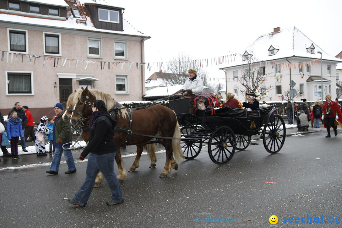 Narrentreffen-Radolfzell-20012013-bodensee-community-seechat-de_232.JPG