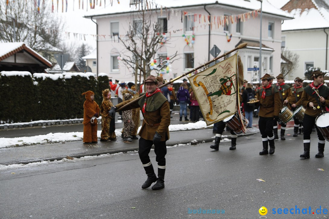 Narrentreffen-Radolfzell-20012013-bodensee-community-seechat-de_235.JPG