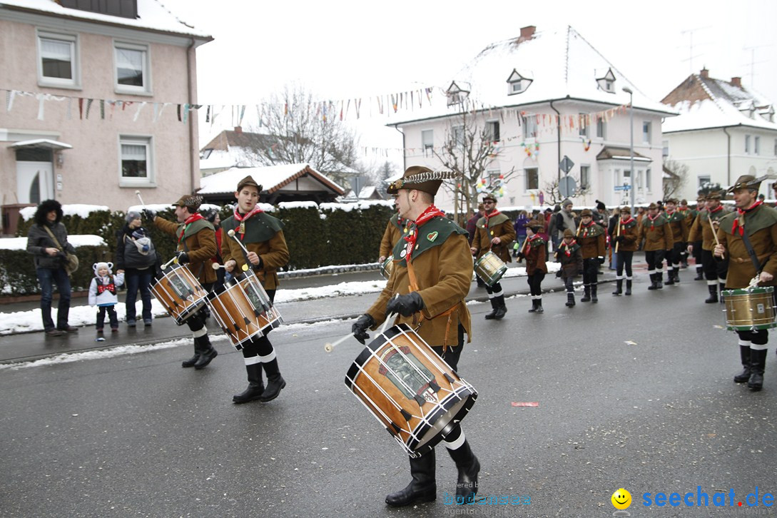 Narrentreffen-Radolfzell-20012013-bodensee-community-seechat-de_236.JPG