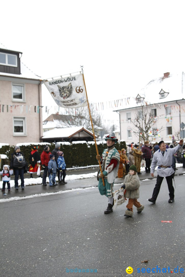 Narrentreffen-Radolfzell-20012013-bodensee-community-seechat-de_24.JPG