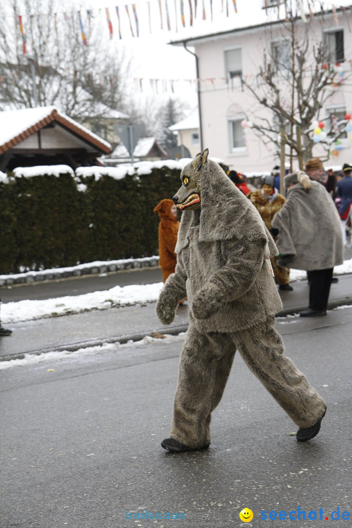 Narrentreffen-Radolfzell-20012013-bodensee-community-seechat-de_240.JPG