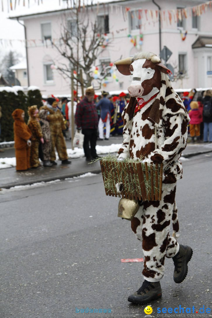 Narrentreffen-Radolfzell-20012013-bodensee-community-seechat-de_242.JPG