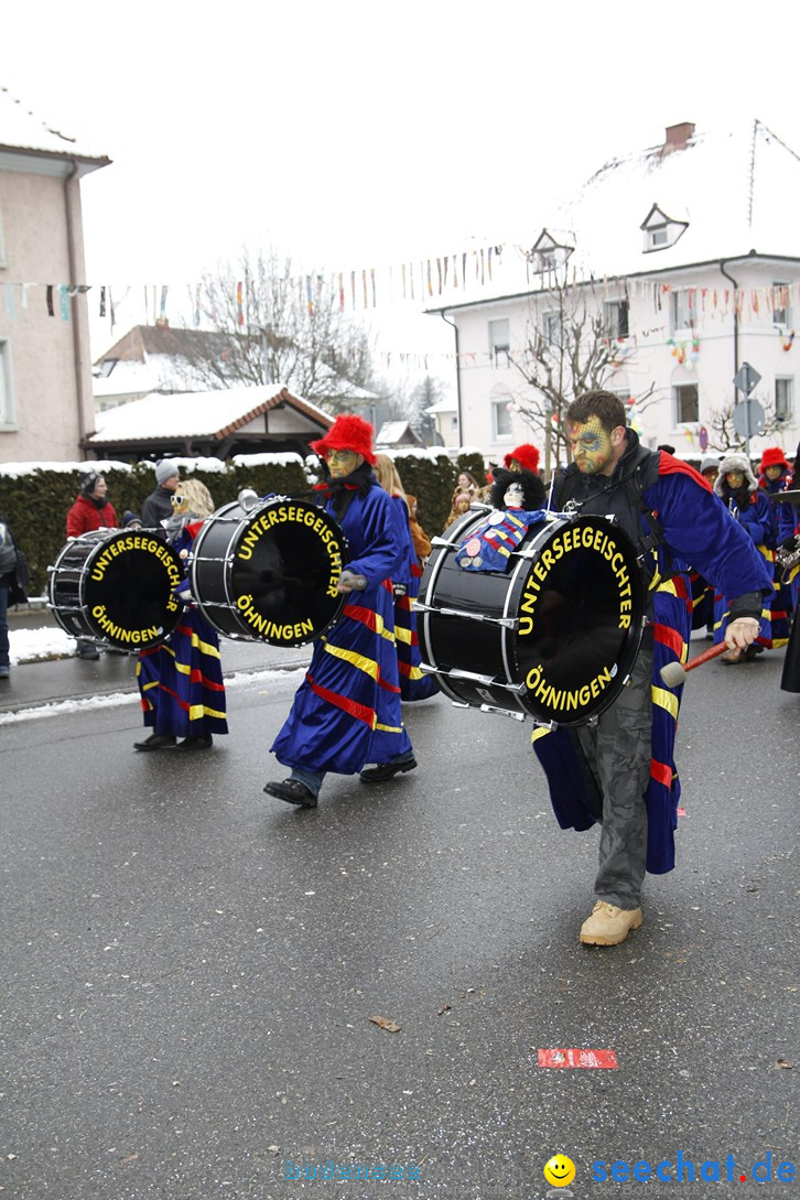 Narrentreffen-Radolfzell-20012013-bodensee-community-seechat-de_246.JPG