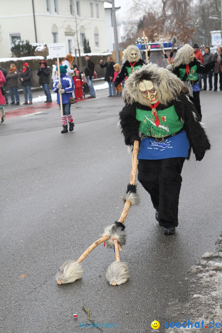 Narrentreffen-Radolfzell-20012013-bodensee-community-seechat-de_249.JPG