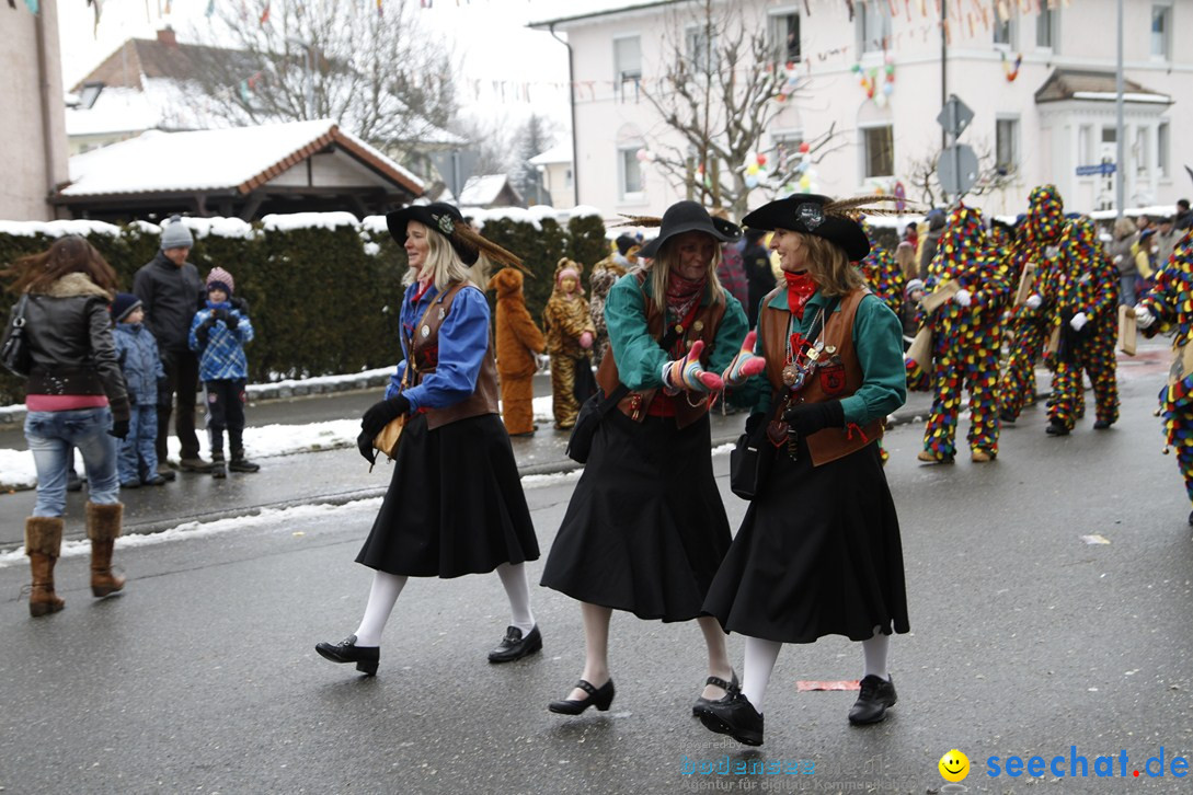 Narrentreffen-Radolfzell-20012013-bodensee-community-seechat-de_254.JPG