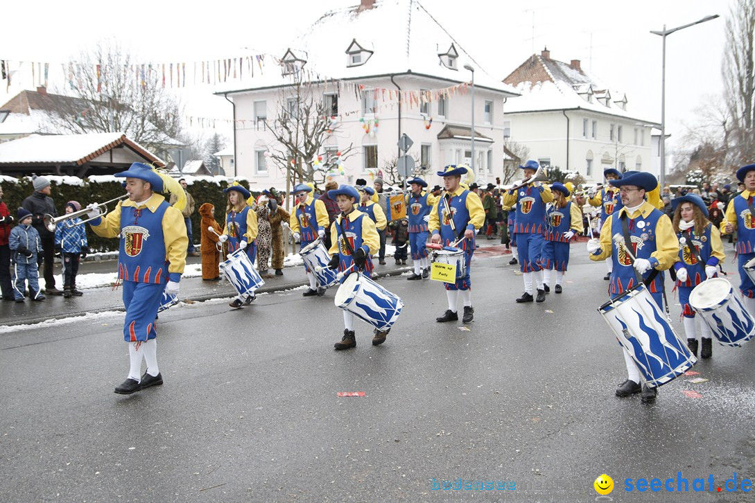 Narrentreffen-Radolfzell-20012013-bodensee-community-seechat-de_257.JPG