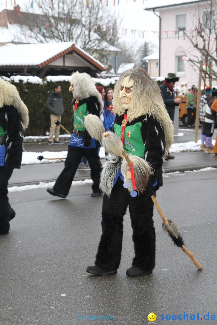 Narrentreffen-Radolfzell-20012013-bodensee-community-seechat-de_259.JPG