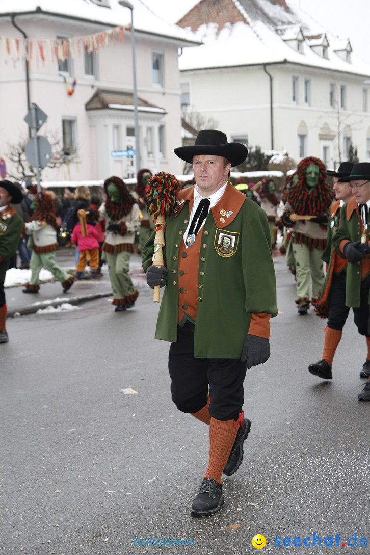 Narrentreffen-Radolfzell-20012013-bodensee-community-seechat-de_260.JPG