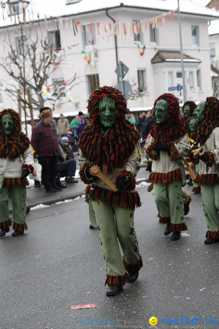 Narrentreffen-Radolfzell-20012013-bodensee-community-seechat-de_261.JPG