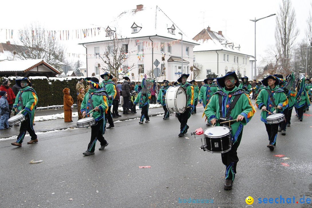 Narrentreffen-Radolfzell-20012013-bodensee-community-seechat-de_266.JPG