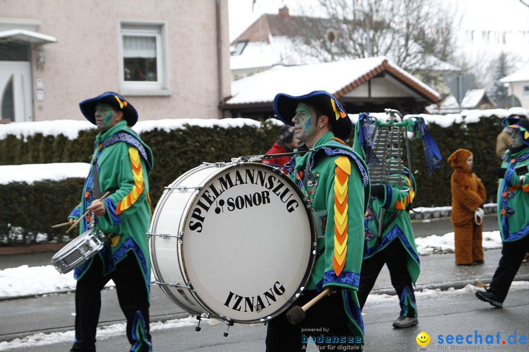 Narrentreffen-Radolfzell-20012013-bodensee-community-seechat-de_267.JPG