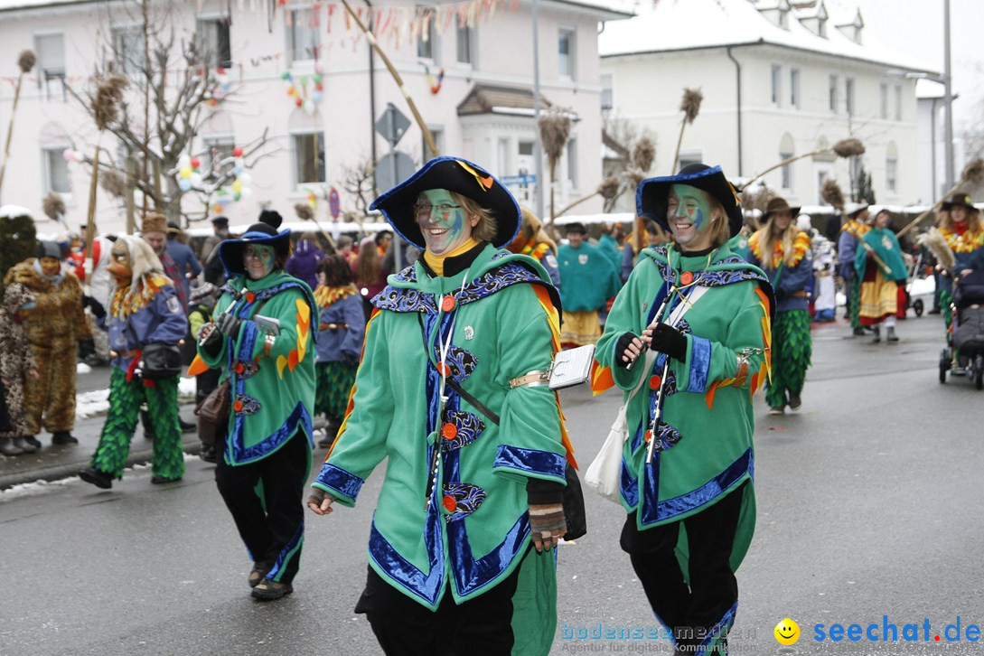 Narrentreffen-Radolfzell-20012013-bodensee-community-seechat-de_268.JPG