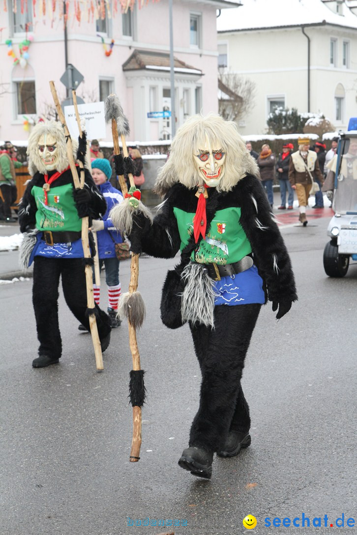 Narrentreffen-Radolfzell-20012013-bodensee-community-seechat-de_269.JPG