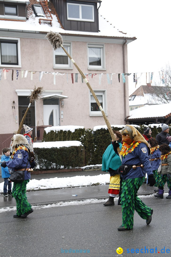 Narrentreffen-Radolfzell-20012013-bodensee-community-seechat-de_27.JPG