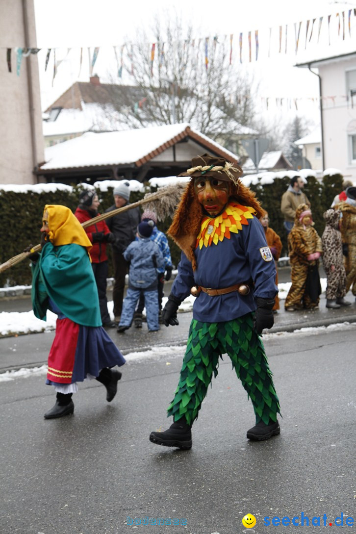 Narrentreffen-Radolfzell-20012013-bodensee-community-seechat-de_270.JPG