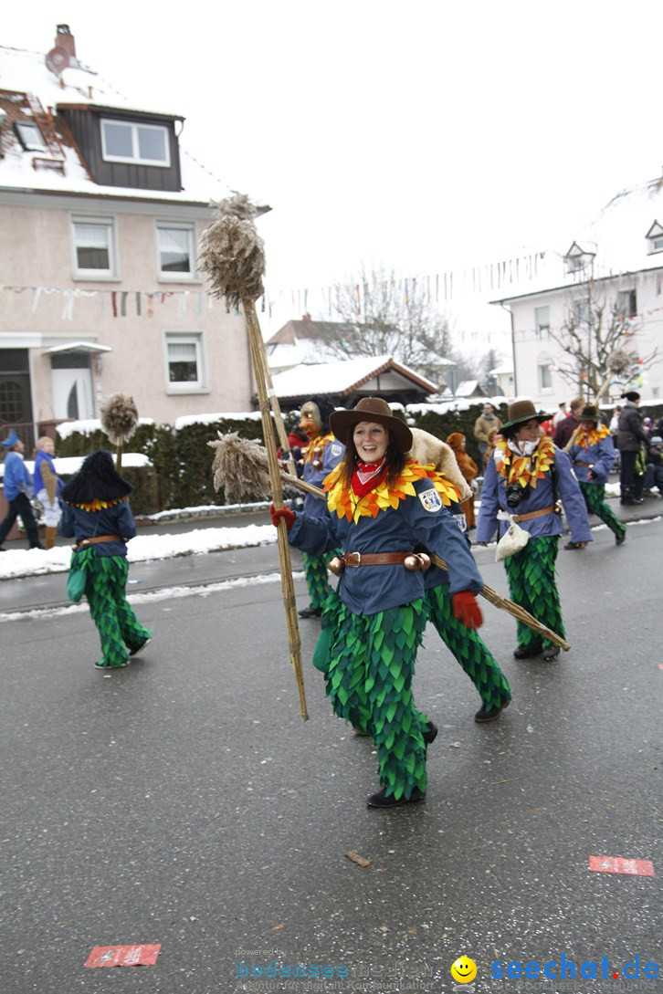 Narrentreffen-Radolfzell-20012013-bodensee-community-seechat-de_271.JPG