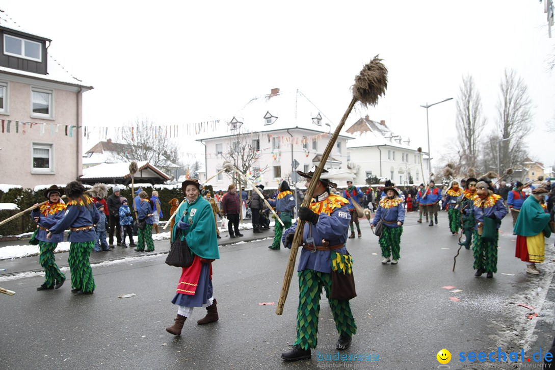 Narrentreffen-Radolfzell-20012013-bodensee-community-seechat-de_272.JPG