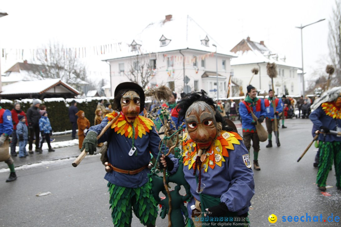 Narrentreffen-Radolfzell-20012013-bodensee-community-seechat-de_273.JPG