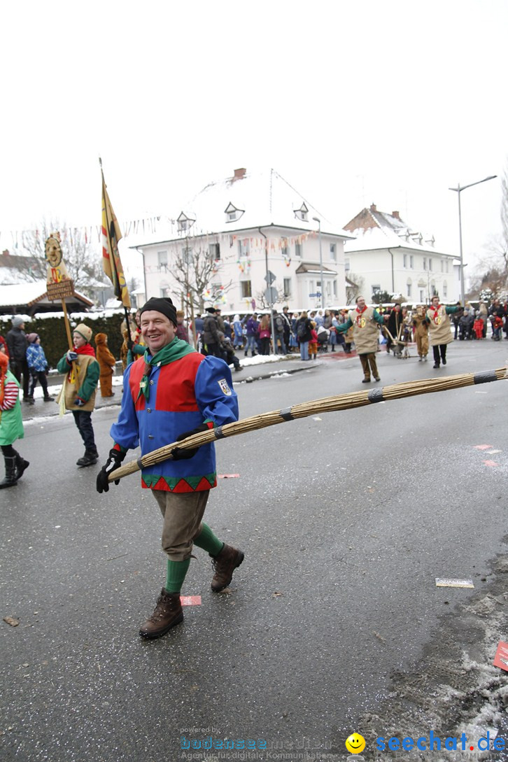 Narrentreffen-Radolfzell-20012013-bodensee-community-seechat-de_275.JPG