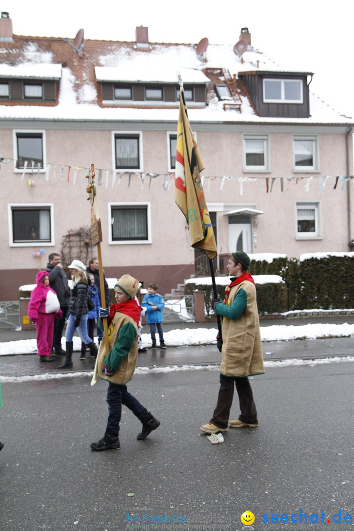 Narrentreffen-Radolfzell-20012013-bodensee-community-seechat-de_276.JPG