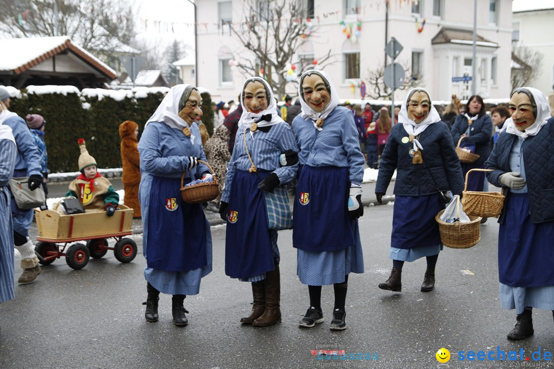 Narrentreffen-Radolfzell-20012013-bodensee-community-seechat-de_278.JPG