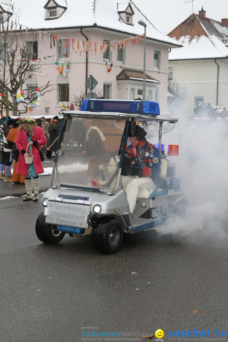 Narrentreffen-Radolfzell-20012013-bodensee-community-seechat-de_279.JPG