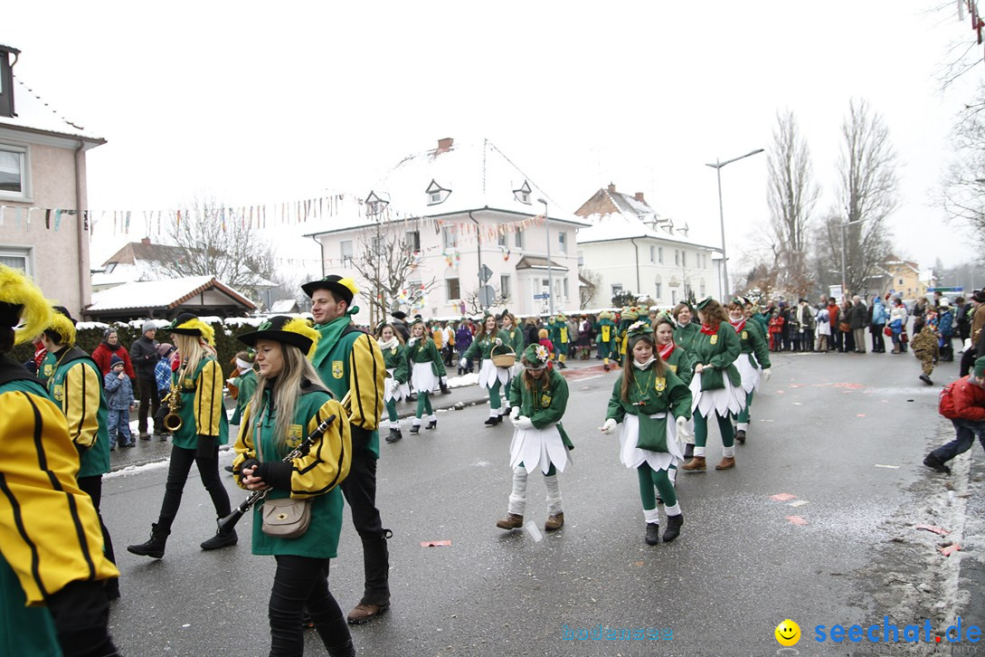 Narrentreffen-Radolfzell-20012013-bodensee-community-seechat-de_281.JPG