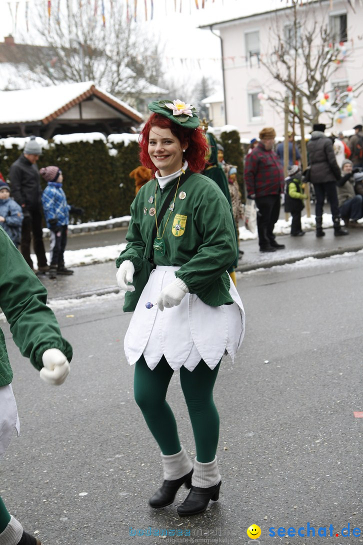 Narrentreffen-Radolfzell-20012013-bodensee-community-seechat-de_282.JPG