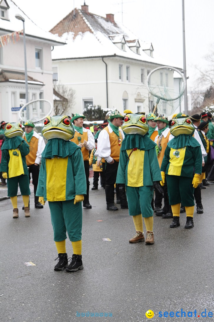 Narrentreffen-Radolfzell-20012013-bodensee-community-seechat-de_284.JPG