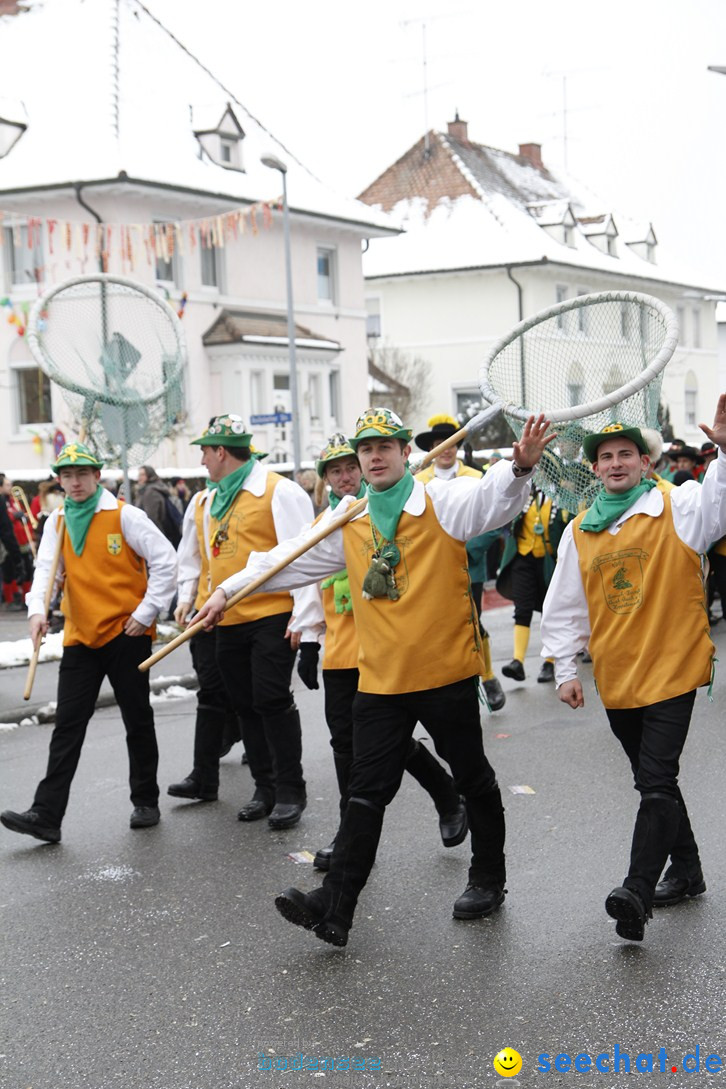 Narrentreffen-Radolfzell-20012013-bodensee-community-seechat-de_286.JPG