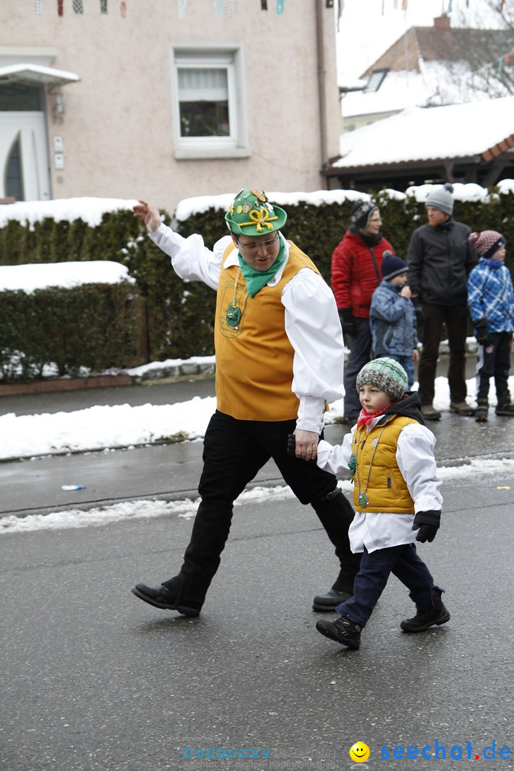 Narrentreffen-Radolfzell-20012013-bodensee-community-seechat-de_287.JPG