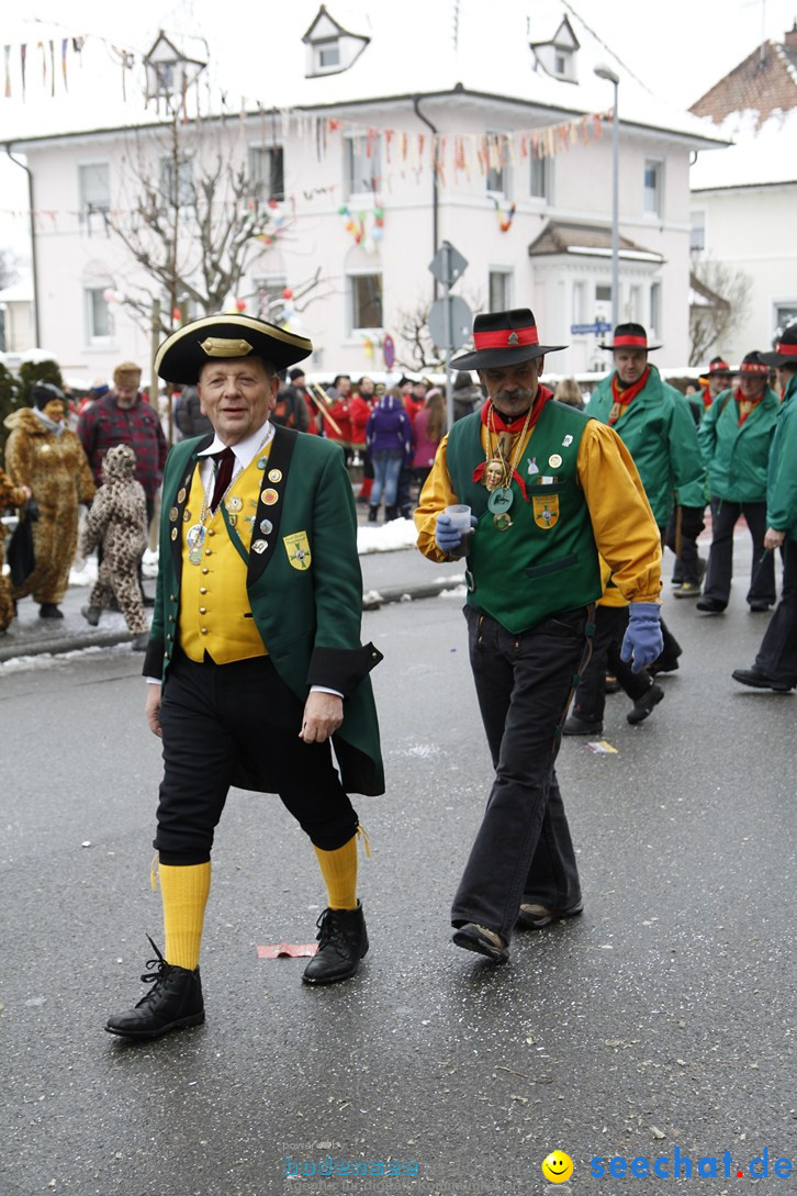 Narrentreffen-Radolfzell-20012013-bodensee-community-seechat-de_288.JPG