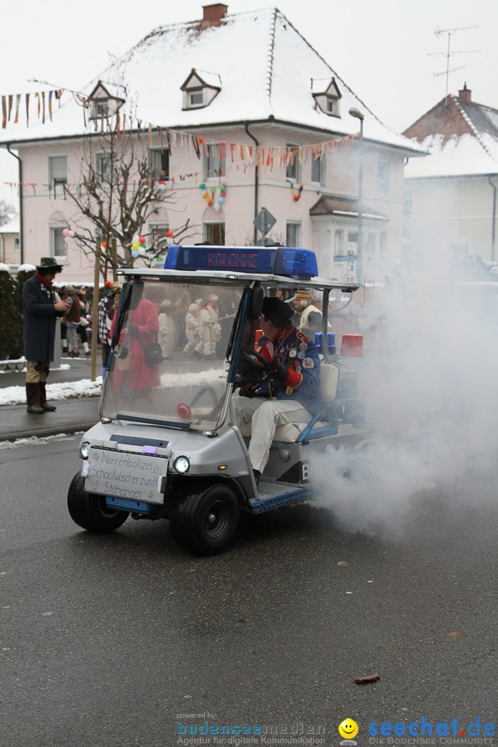 Narrentreffen-Radolfzell-20012013-bodensee-community-seechat-de_289.JPG