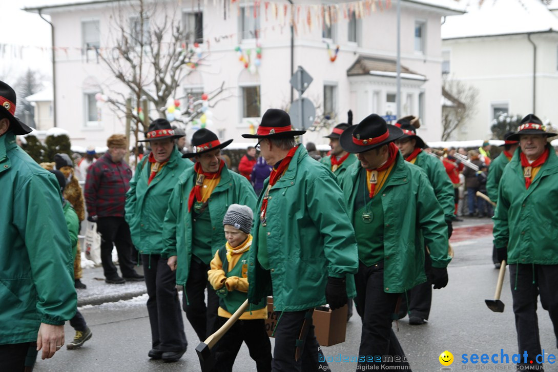 Narrentreffen-Radolfzell-20012013-bodensee-community-seechat-de_29.JPG