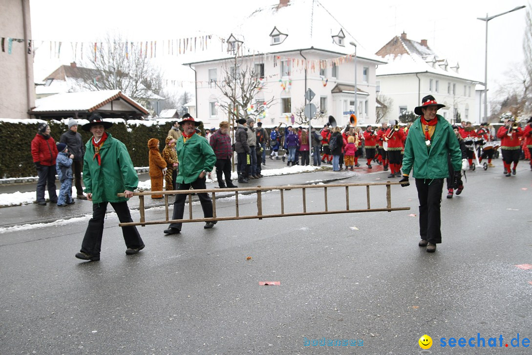 Narrentreffen-Radolfzell-20012013-bodensee-community-seechat-de_290.JPG