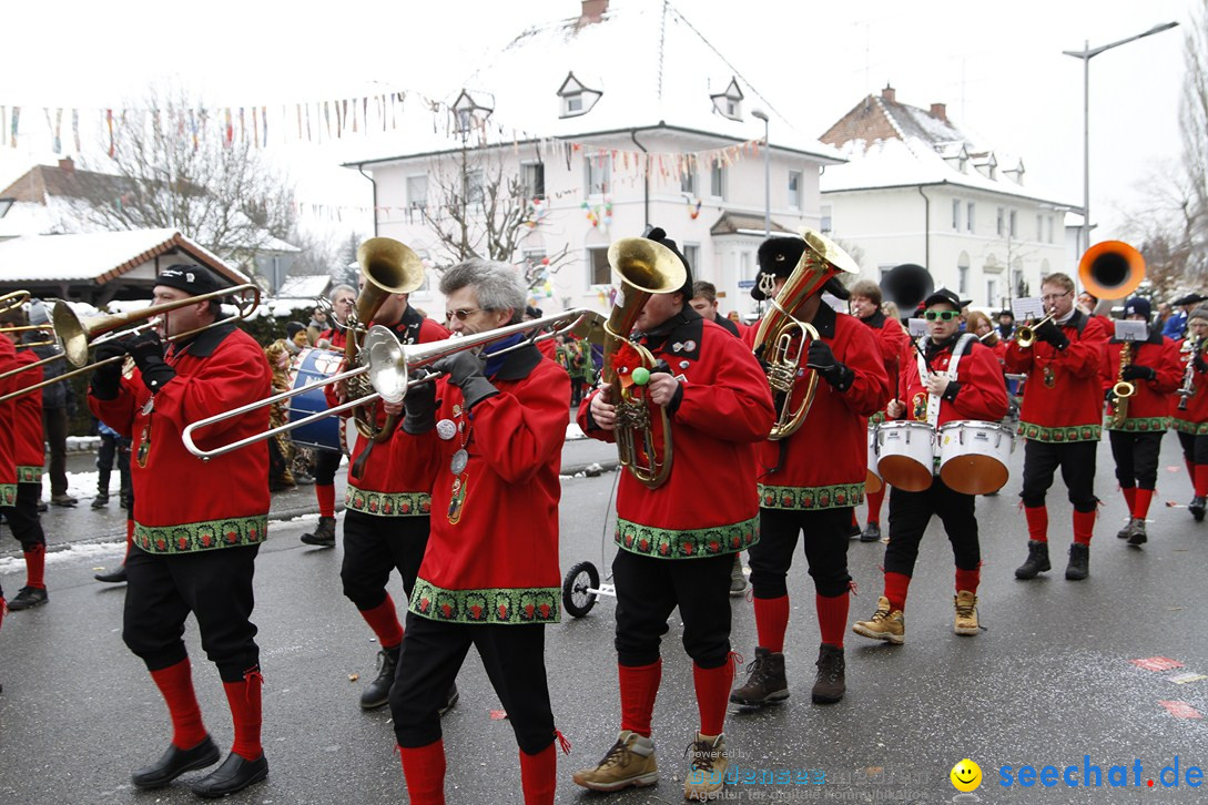 Narrentreffen-Radolfzell-20012013-bodensee-community-seechat-de_292.JPG