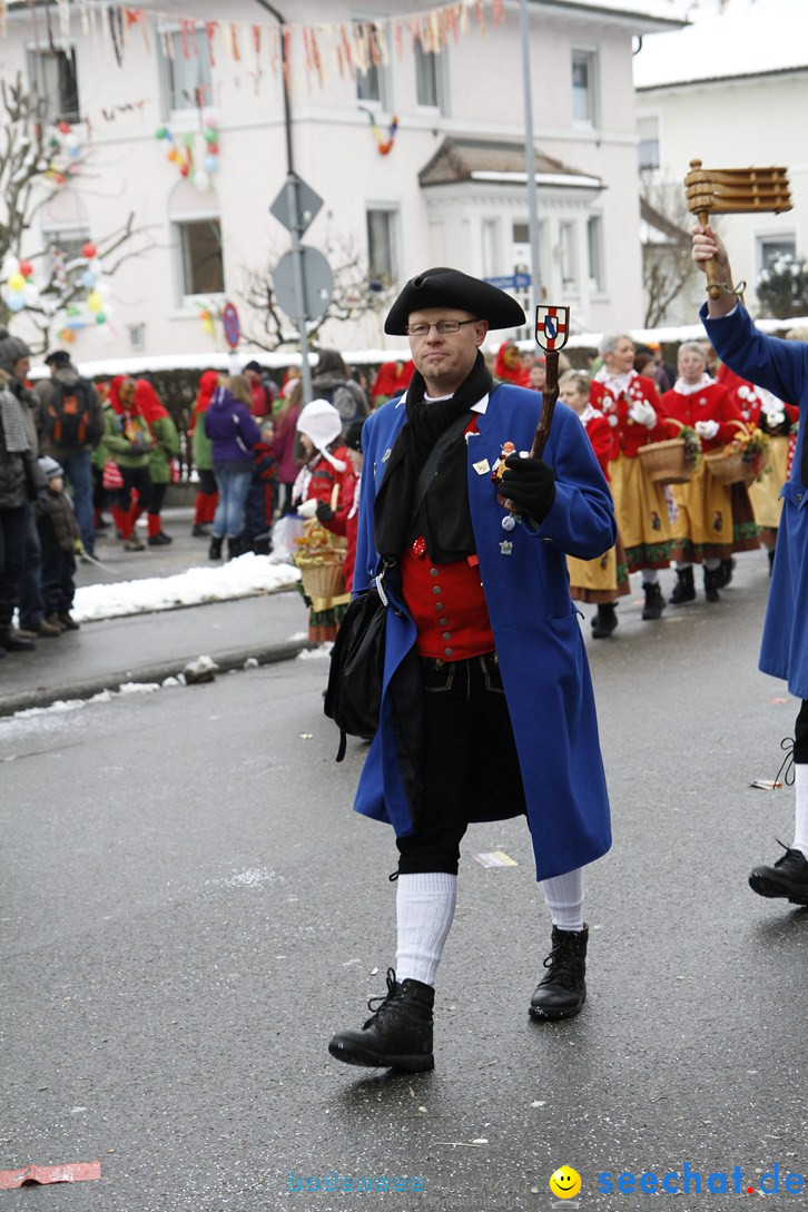 Narrentreffen-Radolfzell-20012013-bodensee-community-seechat-de_293.JPG