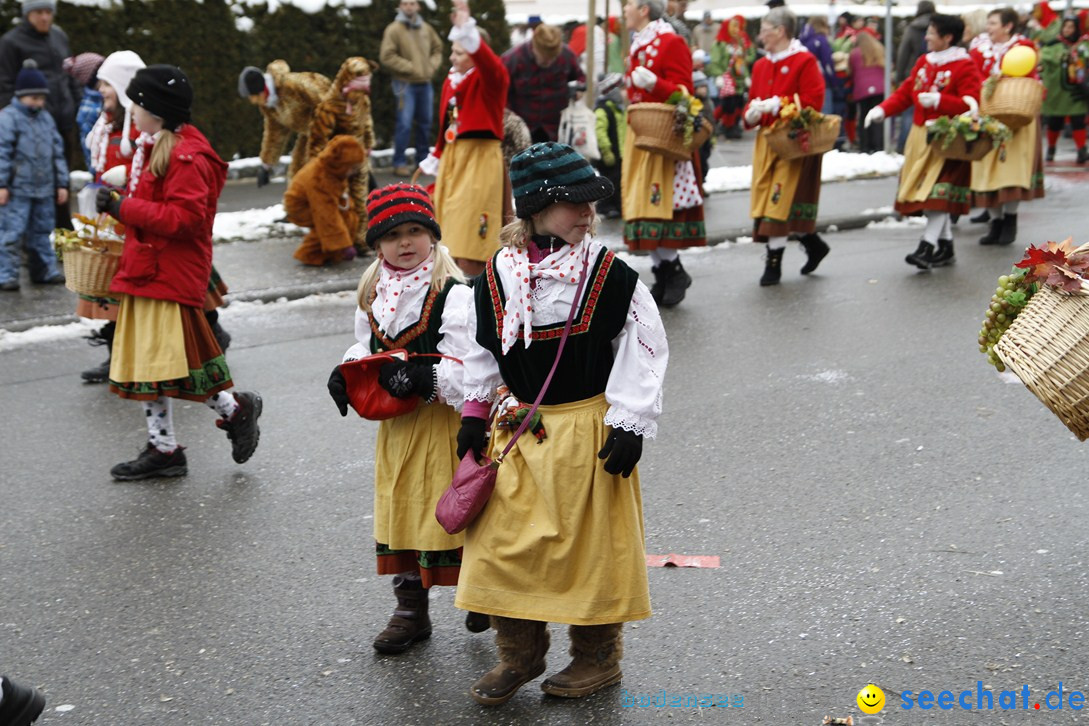 Narrentreffen-Radolfzell-20012013-bodensee-community-seechat-de_294.JPG