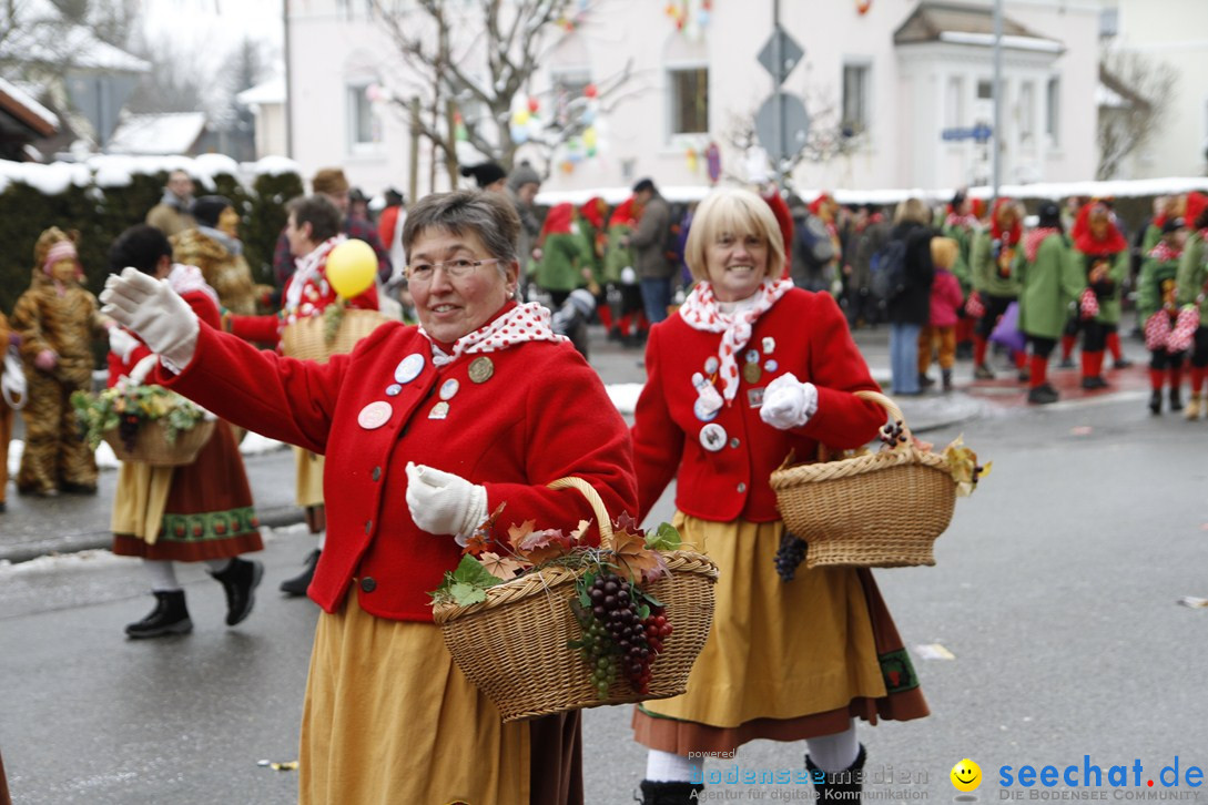 Narrentreffen-Radolfzell-20012013-bodensee-community-seechat-de_295.JPG